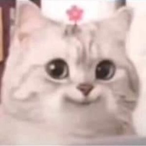 Meet your Posher, Mackenzie